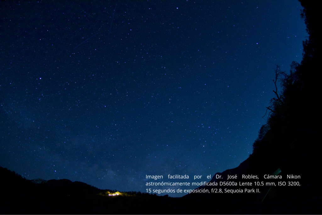 Sequoia Park 2